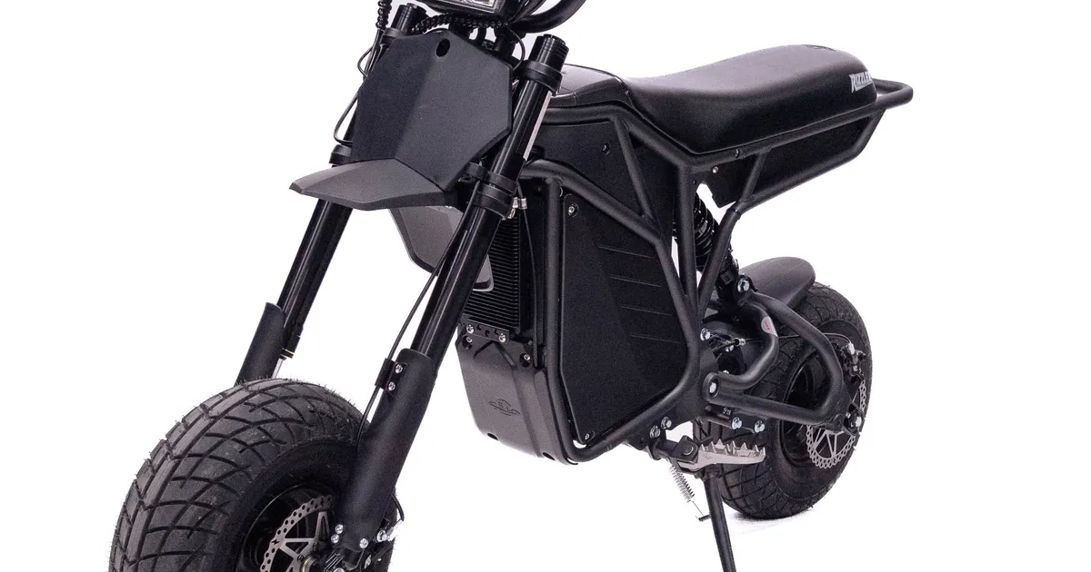 Electro & Co. The Rizzler™ Electric Mini Bike