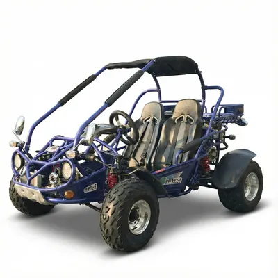 TrailMaster 300E XRX Go-Kart