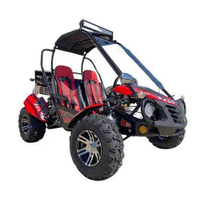 TrailMaster Blazer 200EX Go-Kart