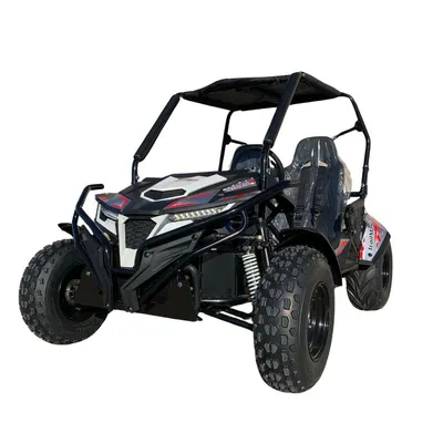 TrailMaster Cheetah 300E Go-Kart
