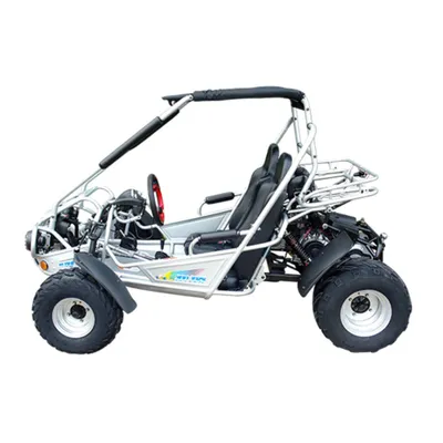 TrailMaster 300E XRS Go-Kart