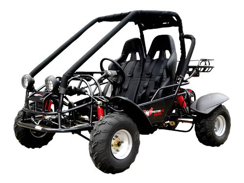 Explorer 150cc Buggy Go Kart, Electric Start, Automatic with Reverse, Ages 16 and up