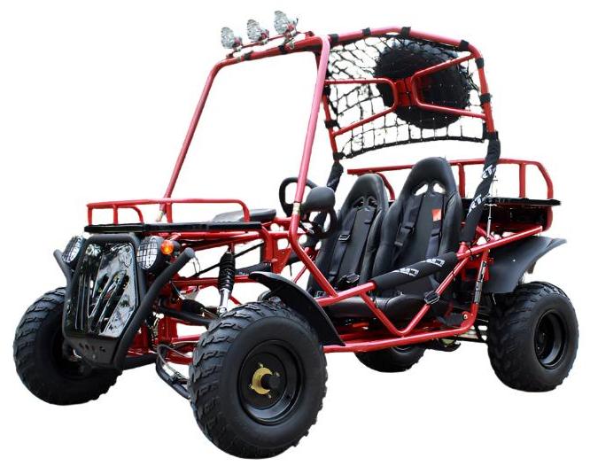 Rancher 200 Buggy Go Kart, Electric Start, Automatic with Reverse, 10-inch Steel Wheels, Ages 16 and up