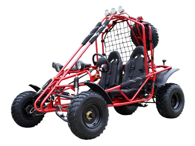 Spider 200 Buggy Go Kart, Electric Start, Automatic with Reverse, 10-inch Steel Wheels, Ages 16 and up