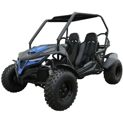 TrailMaster Cheetah 200E Go-Kart