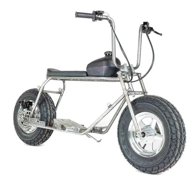 Rascal GT Mini Bike Cruiser Kit