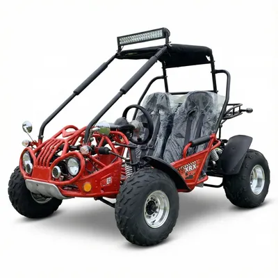 TrailMaster 200E XRX Go-Kart