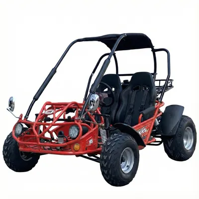 TrailMaster 200 XRS Go-Kart
