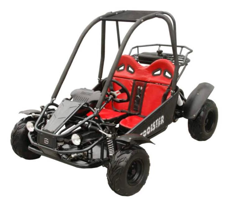 Twister 125cc Kids Gas Powered Go Kart, Electric Start, Automatic with Reverse, Ages 6 and up