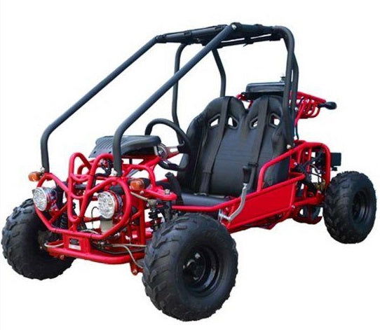 Mini Raptor 125cc Kids Gas Go Kart, Electric Start, Automatic with Reverse, Ages 8 and up