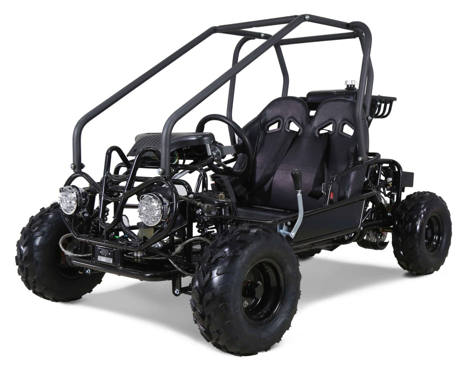 Tao GK110 Kids Gas Go Kart, Electric Start, Automatic with Reverse, Remote Kill Switch, Ages 6 and up